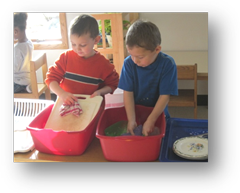 Montessori Day Care in Crystal Lake - Practical Life