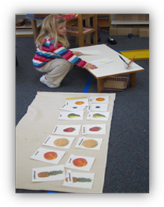 Montessori Preschool in Crystal Lake - Art